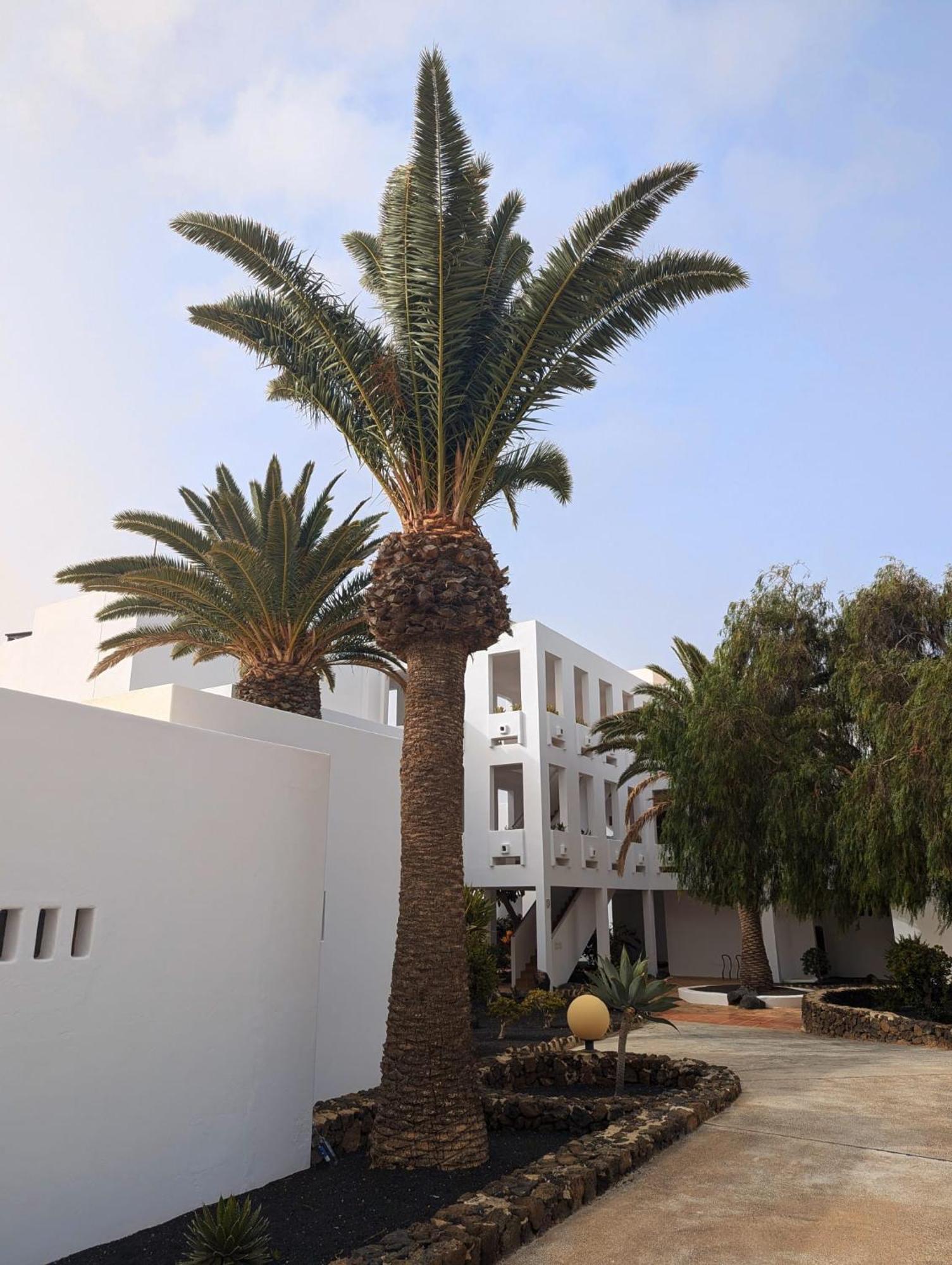 Charming Flat In Molinos With Terrace & Pools, Near Playa Bastian *